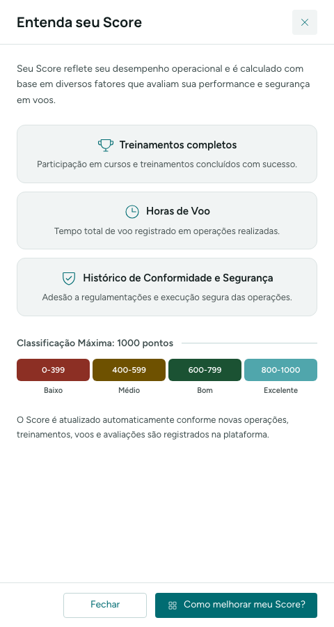 Painel Entenda seu Score